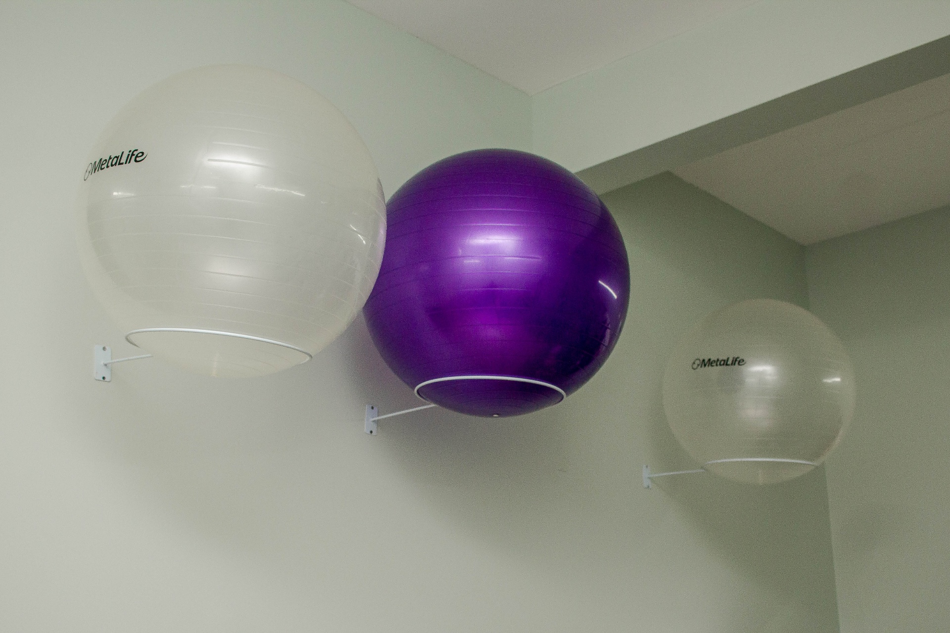 Bolas suíças organizadas no estúdio